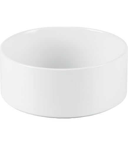 【新品】Neighborhood CI DOG BOWL / WHITE Amazon.com : Ceramic Dog Bowl for Food and Water - Pet Dish for